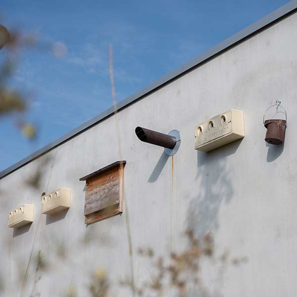 Nistplätze für Falken