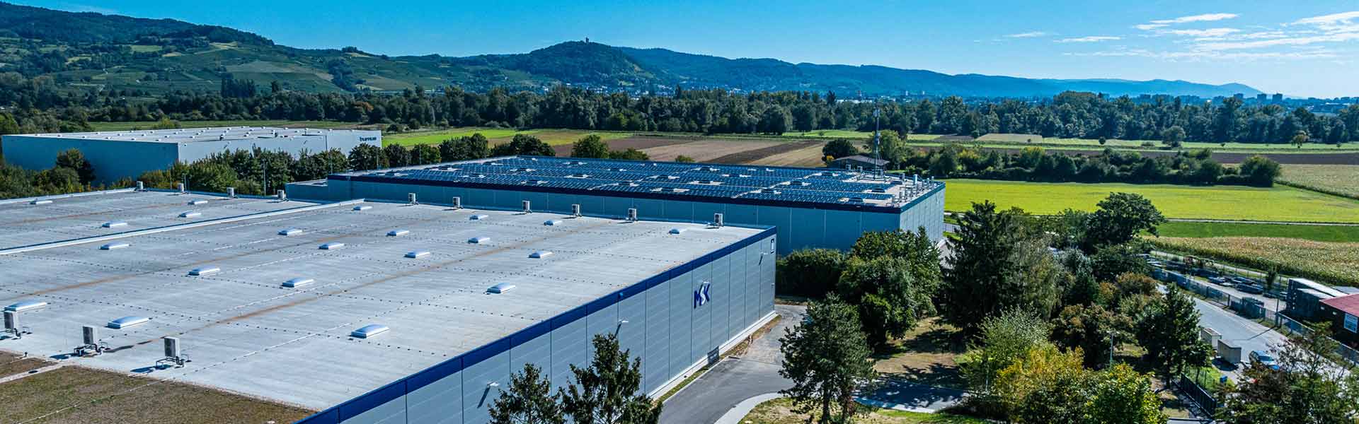 Lagerhalle mit altem Baumgestand