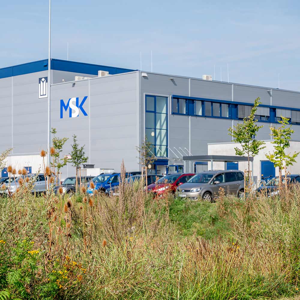 Lagerhalle mit Wildwiese